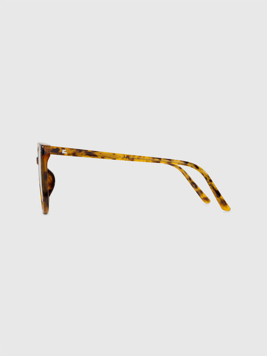 blue elephant KALO-S leopard