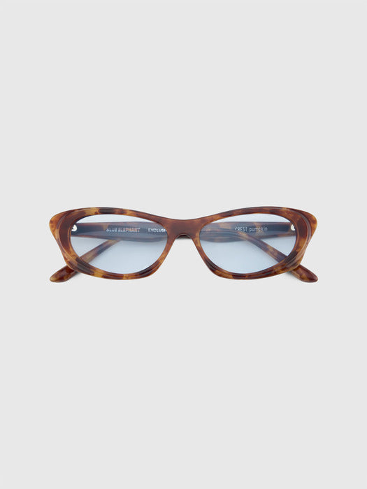 blue elephant CREST pumpkin
