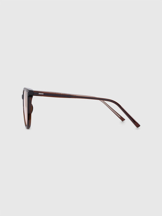 blue elephant ROBIN deep brown